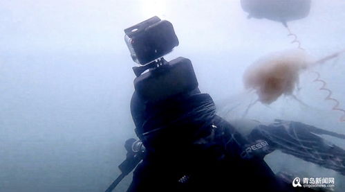 80后小伙成潜水 网红 他在海底30米当起志愿 环卫工 