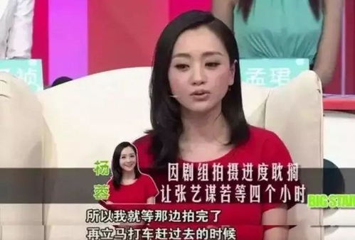 他曾是成龙属意的接班人,吴奇隆给他配戏,如今在各种剧里打酱油