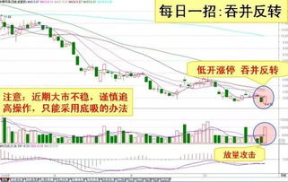 我有一种想法，学学金融，然后炒炒股。这种想法对吗？光靠炒股能养活自己吗？