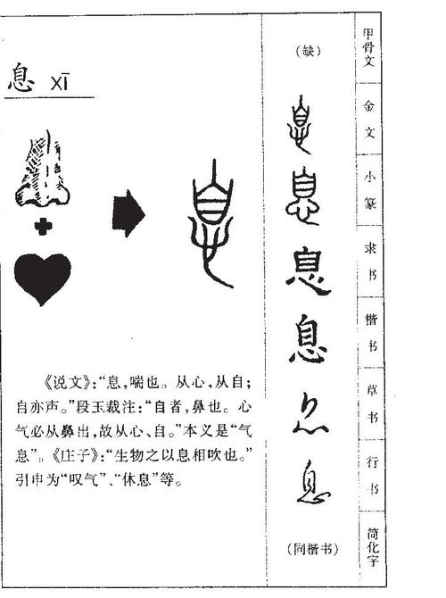 息的意思 息字五行属什么 息字取名的寓意 