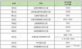 不吃不喝也上不起的合肥贵族学校学费大盘点 另附8月合肥重点中小学周边楼盘最新房价 