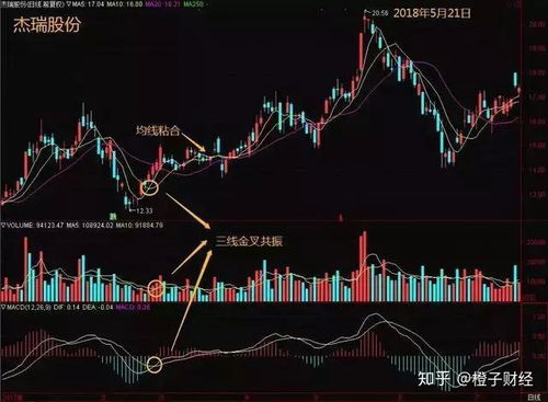 股票T加1是什么意思？T+0呢？