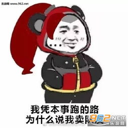 熊猫插兜理直气壮表情图片 王者荣耀理直气壮表情包下载 乐游网游戏下载 