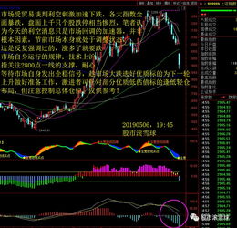 股票中“遇上黑天鹅”指什么