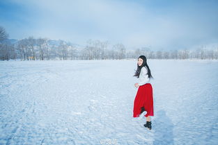 雪地里的阳光