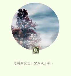 刘禹锡描写秋天的诗