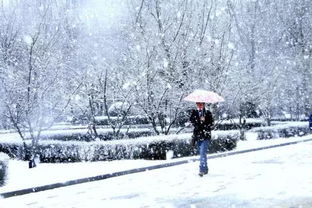 刘华香 飘在心头的雪 