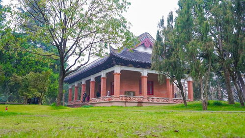 红房子里诗意盎然,2020扬州市诗歌学会新年诗会在这里举行