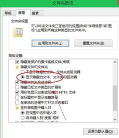 电脑如何显示文件属性win10