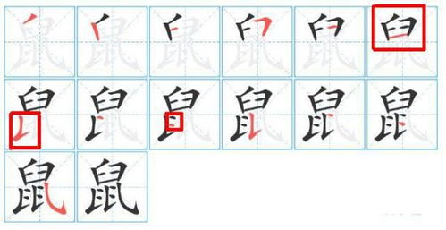 老鼠的鼠字用五笔怎么打 