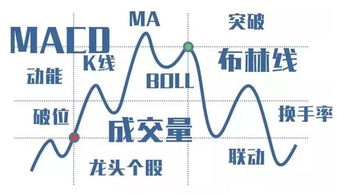 股票当日买进总量跟卖出的总量在哪可以看到?