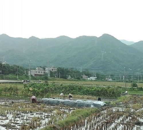 骄傲,我是一名贫穷的乡村教师,来自茂名电白