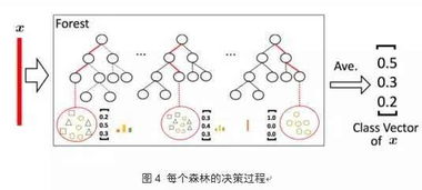 什么是市场择时理论？