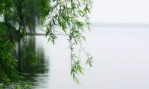 加油少年 越是贫穷,越是困难,越不能犯学业上的短视