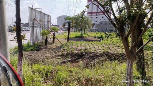 村干部将基本农田硬化成水泥停车场违法码 怎样举报 (水泥停车场闸)