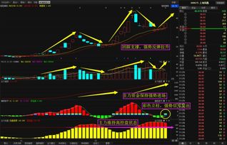 000049这只股怎么样.短期被拉过一个板.现在连跌主力出货没有啊.中期怎样