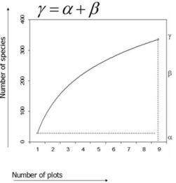 β-多样性指数可以超过 1 吗？