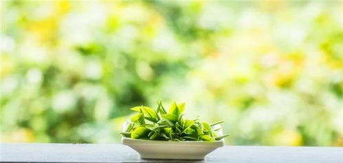 如何对待摩羯座绿茶，如何对待摩羯座绿茶男