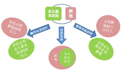 科普贴 永久基本农田和耕地有什么关系 如何划分与管理永久基本农田