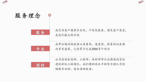 项目专项风控报告范文（做风控有前途吗？）