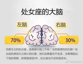 十二星座的大脑里装了点什么 