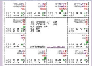 有会紫微斗数的吗 帮看看这个命盘 