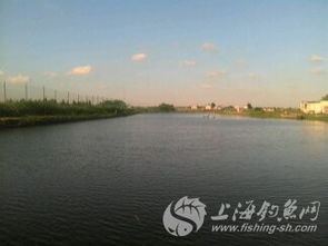 上海嘉定宝山附近,钓天钓斤鱼塘9月30日开钓. 