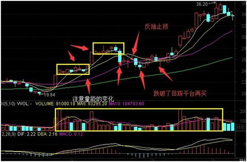 为什么买了强势股还是赚不到钱