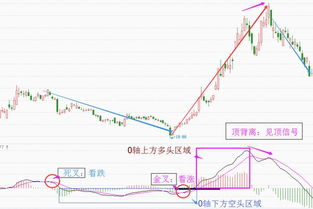 本人是股市新手，请教下怎么看k线图，以及macd，我一点都不懂的，近期都亏了几千块了