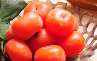 钢城文苑丨家乡的柿子