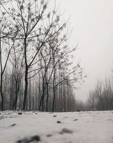 初雪 一起来玩儿呀 