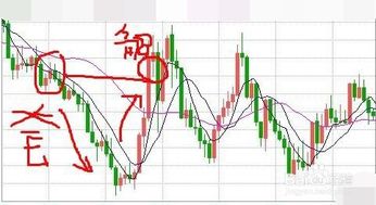 被套了怎样解套