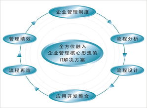 企业信息化