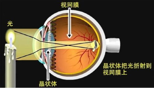 阳光到地球需8分钟,但人一睁眼就能看到阳光,眼速比光速更快