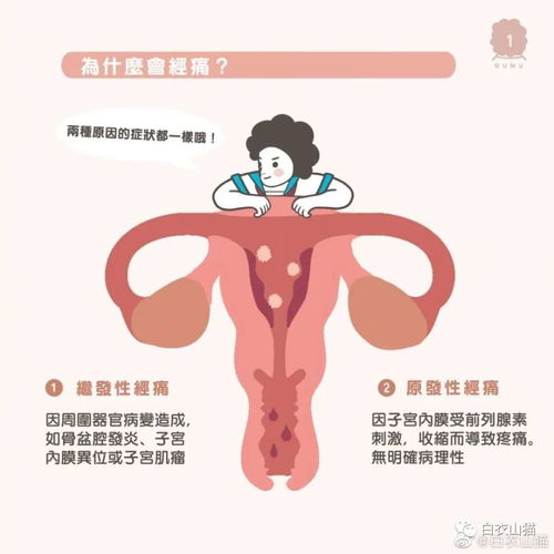 女友痛经时满级男友该怎么做 请学学有女儿的医生老爹怎么做