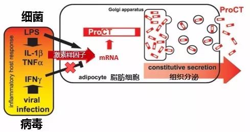 新冠病毒肺炎诊疗,这个指标极其重要