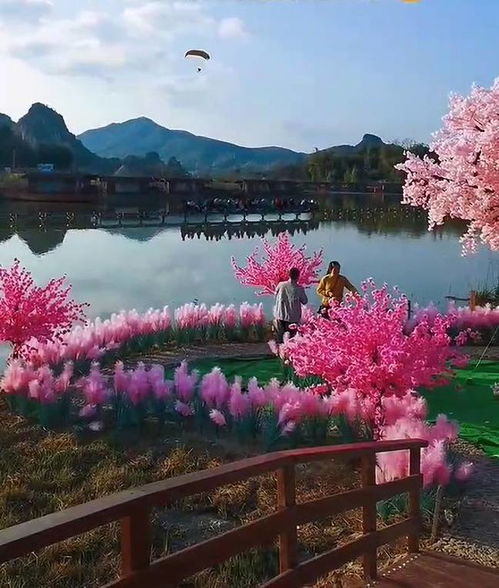 广东小伙造 情侣桃花岛 ,虽丢了女友却火到海外,成网红打卡地