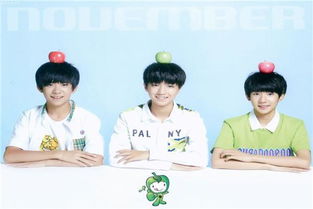 TFBOYS,可如今分散做了综艺,背后的秘密你知道吗