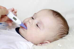 11个月宝宝感冒咳嗽怎么办速效办法都有什么呢
