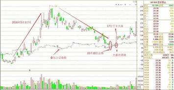 沪港通交割单费用少，股价不变而亏损很多是怎么回事