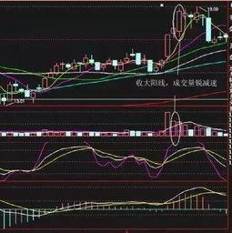 谁知道"；ST九发600180"；是什么股?还有希望么?