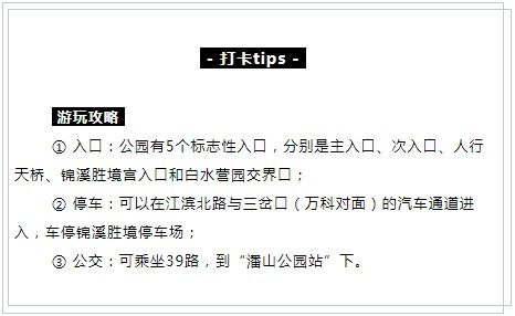 别再说没地方玩了 泉州低调的江边公园,知道的人还不多