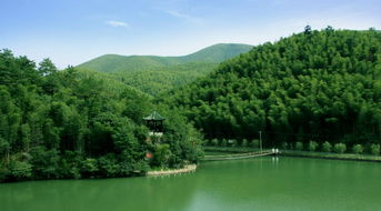 住五星宜兴大酒店,游宜兴竹海 夜游宜园,含云湖茶博园,感悟大觉寺,别样精彩旅程 2人1晚