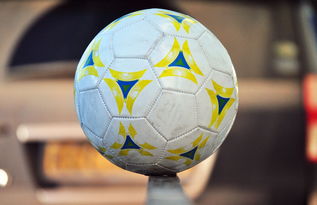 足球赛事大球小球如何看_如何看足球比赛中的大球小球