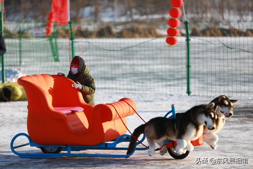 玩具狗拉爬犁 人肉大蜈蚣,长春市民嗨翻冰雪