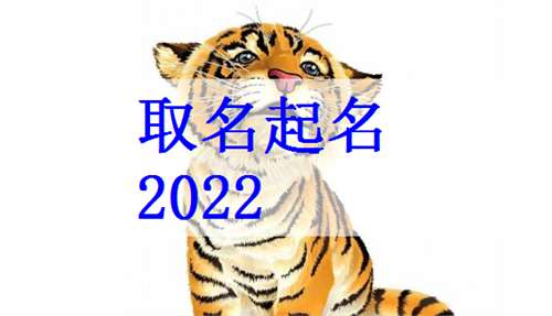 2022年虎宝宝起名字大全推荐,姓沈 男孩
