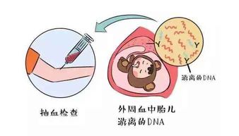 怀的是男孩还是女孩 其实B超单上的数据已经告诉你了