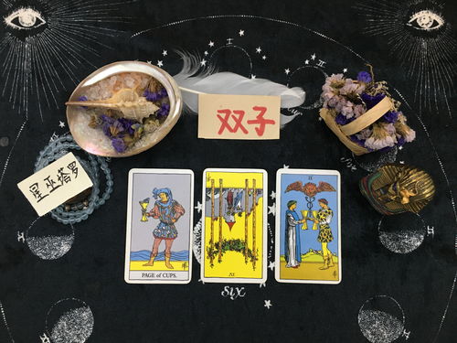 星巫塔罗 双子座年底运势指引,感情会复苏,会给你一个承诺