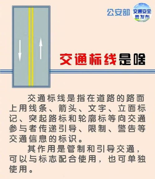 微课堂 你知道路面上画的各种箭头都代表啥意思吗