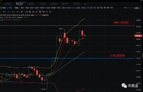 柚子币价格最新价格;柚子币价格最新价格走势